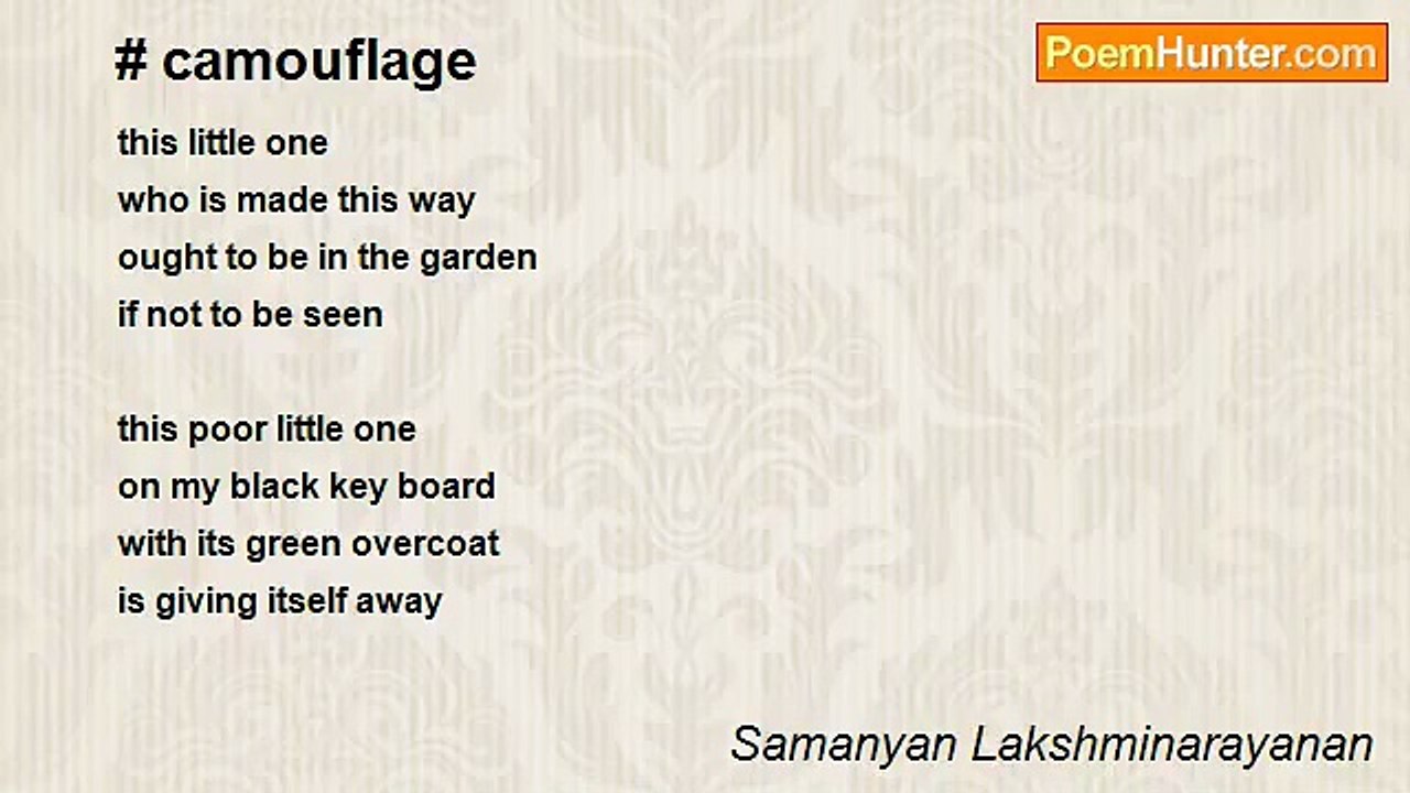 Samanyan Lakshminarayanan - # Camouflage
