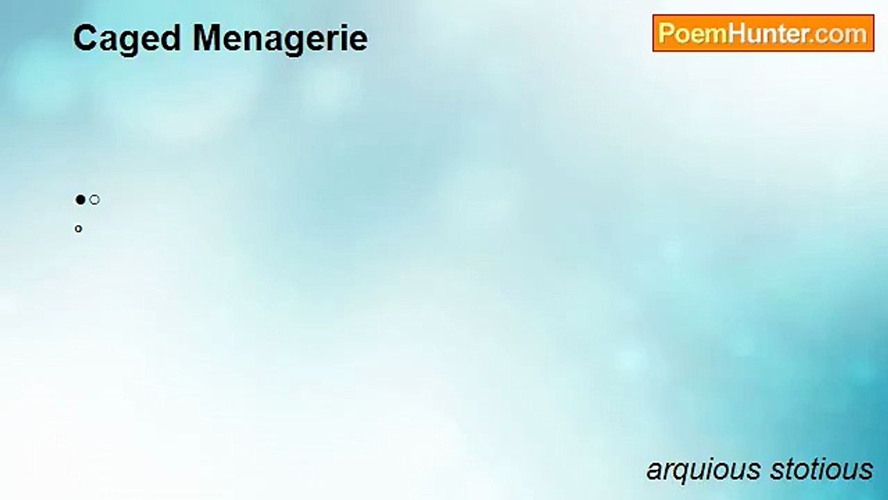 arquious stotious - Caged Menagerie