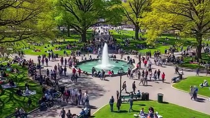 ✨ I Spent 30 Days with Famer Cat and Here's What I Learned 😺😺