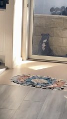 Mon frère traînait trop longtemps pour la promenade, et elle lui rappelle son retard comme cloche de gare.