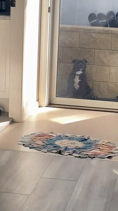 Mon frère traînait trop longtemps pour la promenade, et elle lui rappelle son retard comme cloche de gare.