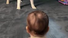 Bébé vs Husky : le duel de câlins.