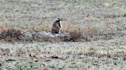 **S'enflammer d'amour** – une façon humoristique de dire “falling in love” en français, avec le même nombre de mots.