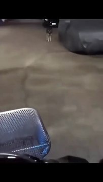 Toujours stagiaire de rue, toujours à l'affût du pigeon.