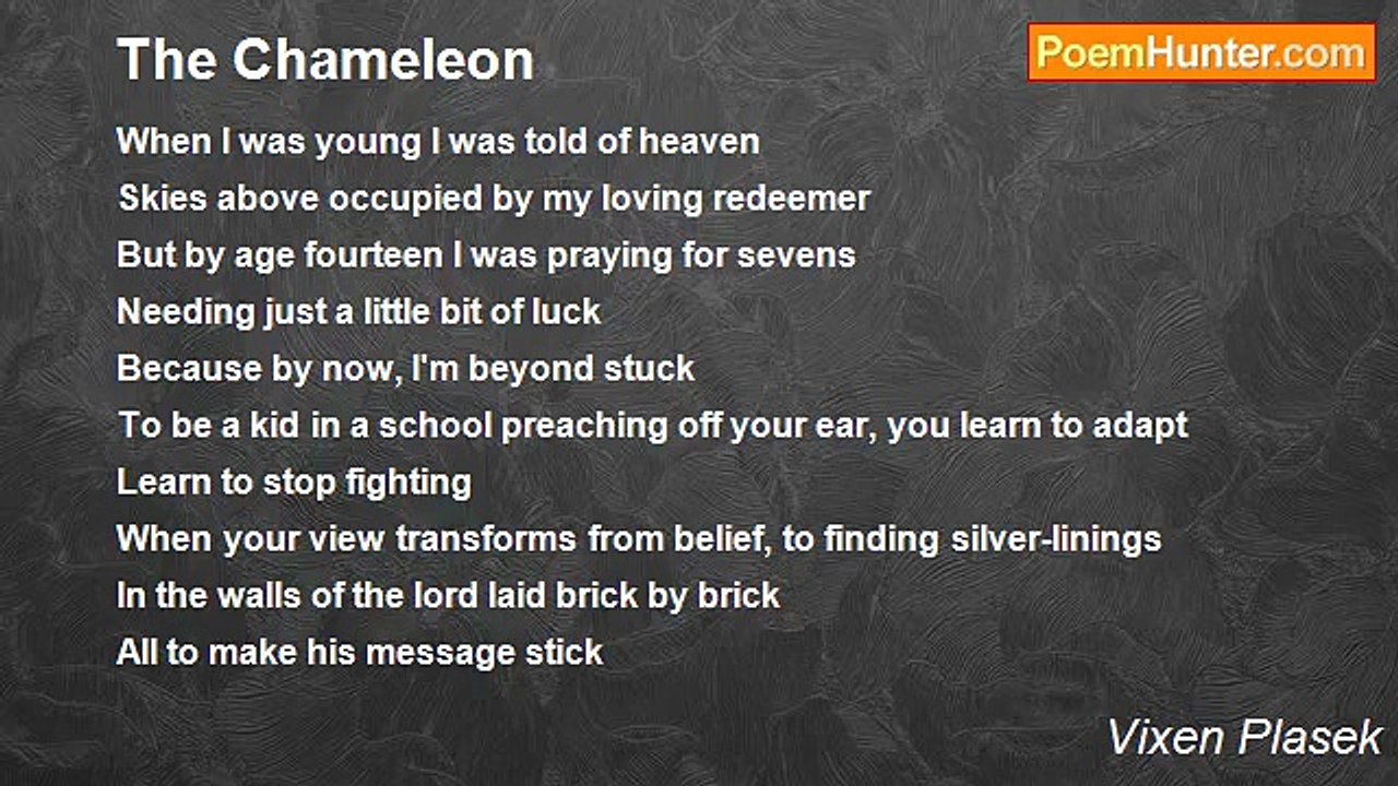Vixen Plasek - The Chameleon
