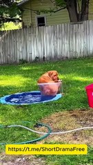 The Deadly Prince Engsubtitles mydrama