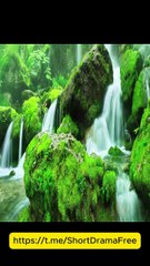 Pregnant Cinderella EngSub | Romantic Chinese Short Drama 🎬