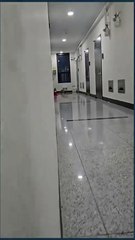 **Humorous translation (3 words):**  « Il débarque, patatras! »