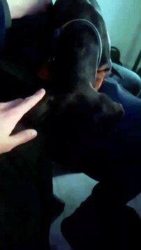 **Oreilles sélectives**