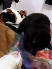 **Tu vas pas juste rien faire, hein ?**