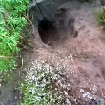 Il a juste lavé la voiture aussi, lol.