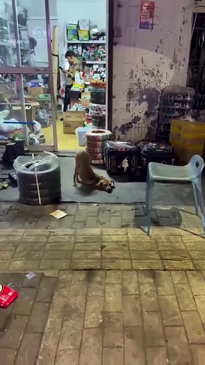 Trop endormi pour me souvenir d’être allongé