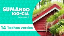 14 TECHOS VERDES