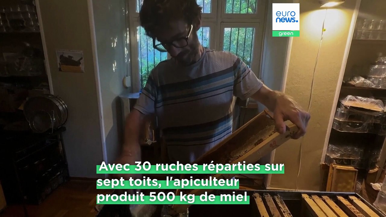 À Athènes, l'apiculture urbaine gagne du terrain, toit par toit
