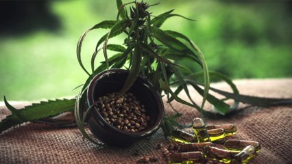 Il cannabidiolo riduce i sintomi di una forma di epilessia