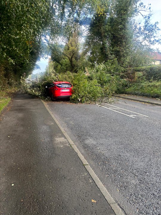 Storm Amy wreaks havoc in Derry and Donegal felling trees and leaving hundreds in the dark