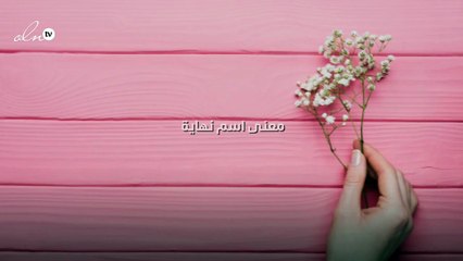 معنى اسم نهاية