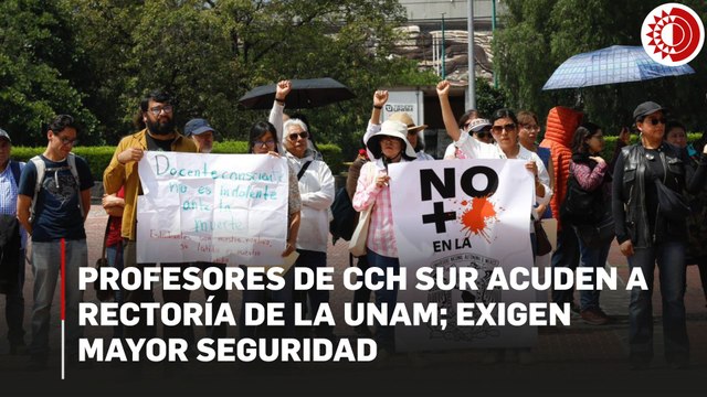 Profesores de CCH Sur acuden a Rectoría de la UNAM; exigen mayor seguridad