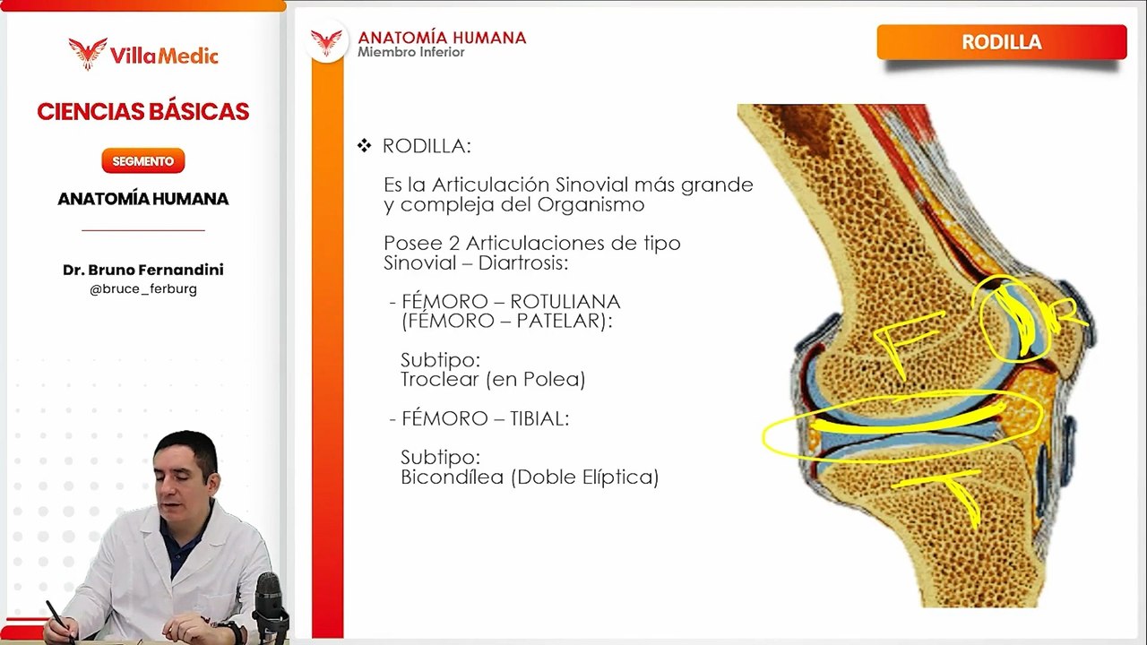 3.7 MIEMBRO INFERIOR-RODILLA.mp4