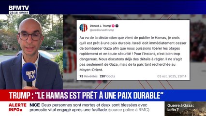 Donald Trump déclare sur Truth Social "que le Hamas est prêt à une paix durable" et demande à Israël "de cesser immédiatement les bombardements à Gaza"