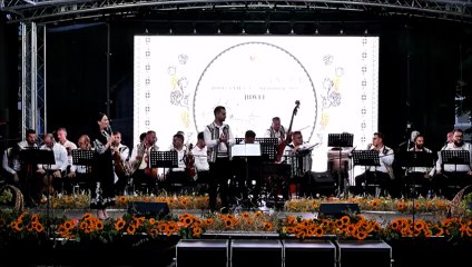 Daria Vasile - Premiul I sectiunea instrumentala (Festivalul National „Strugurele de aur” - Blaj - 07.09.2025)