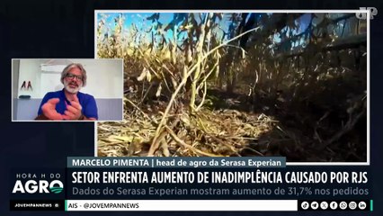 Setor enfrenta aumento de inadimplência causado por recuperações judiciais | HORA H DO AGRO