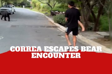 World Cup champion Angel Correa escapes a bear encounter in Mexico