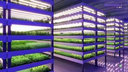 Granjeros Espaciales: Revolución en la Agricultura Interestelar