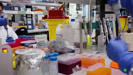 Teoría de la Evolución: Descubrimientos Asombrosos