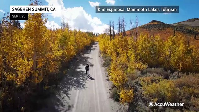 Fall foliage colors start popping across the US