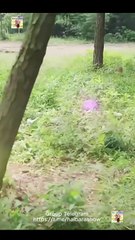 De Cincuenta A Gobernante De Todo Completo