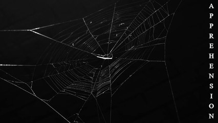 Sean Ferree - Apprehension (Official Music Video)