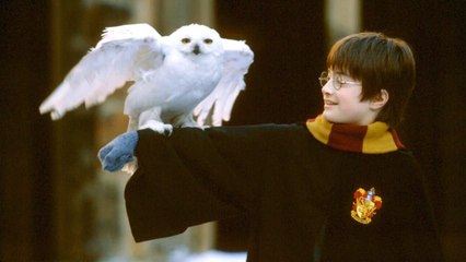 Harry Potter à l'école des sorciers