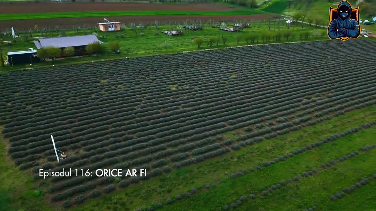 Iubire cu parfum de lavanda Sezon 3 Episodul 4 din 3 Octombrie 2025 Online Gratis pe Internet, Antena Play Gratis