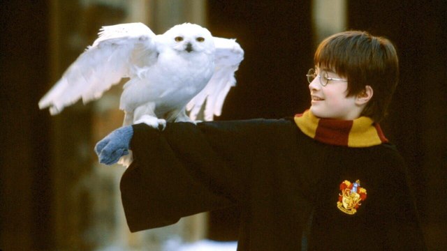 Harry Potter à l'école des sorciers