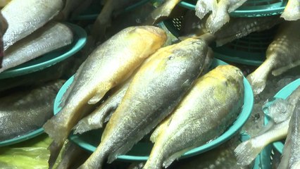 노릇한 전·싱싱한 과일...추석 앞둔 전통시장, 북적 / YTN