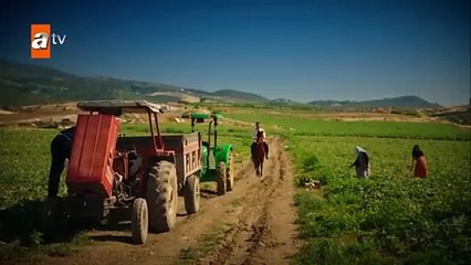 جرح القلب 💔 - الحلقة 1  مدبلج للعربية  Kalp Yarası  Arabic Dubbed