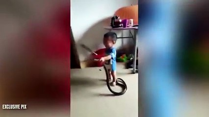 فيديو صادم: طفل صغير يلعب مع أفعى تسلّلت إلى منزله