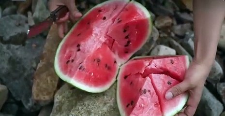 Campfire Cooking Hacks You’ll Wish You Knew Sooner /20/