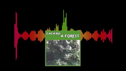 Cackris - A Forest