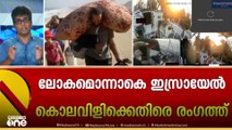 'ഫലസ്തീൻ ജനതക്ക് ഒരു രാഷ്ട്രമായി നിലനിൽക്കാൻ അവകാശമുണ്ട്.. രണ്ട് വർഷം കൊണ്ട് ലോകമനസാക്ഷി ഉണർന്നു'