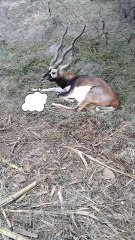 Are you paid for this too? 😂