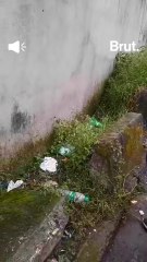 Tourist litters in Darjeeling