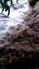 فيديو: مواطنان سعوديان ينقذان سائحاً ألمانياً من الغرق