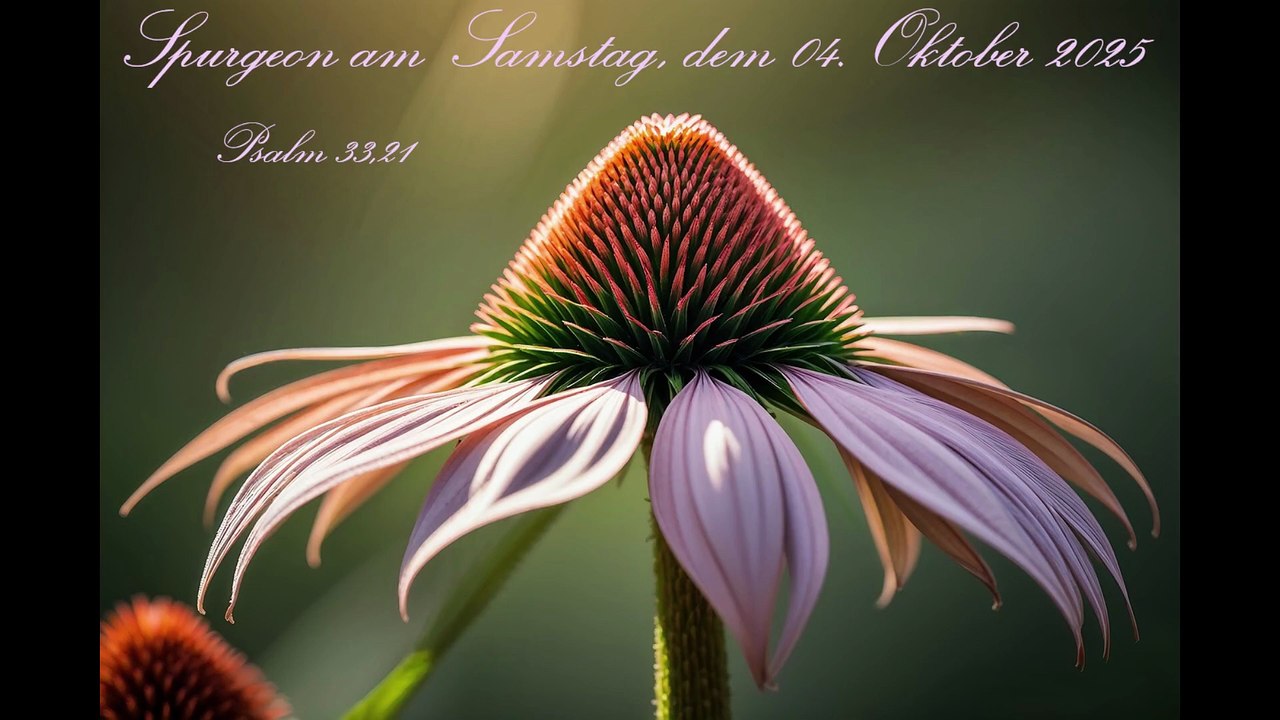 Spurgeon am Samstag, dem 04. Oktober 2025, zu Psalm 33,21