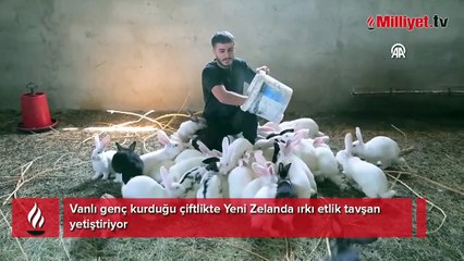 Vanlı genç kurduğu çiftlikte tavşan yetiştiriyor: Bölgede ilk olacağı için önemli bir yatırım