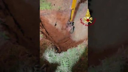 Scandicci, cane resta intrappolato nel tubo: salvato