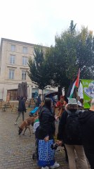 rassemblement France palestine Niort