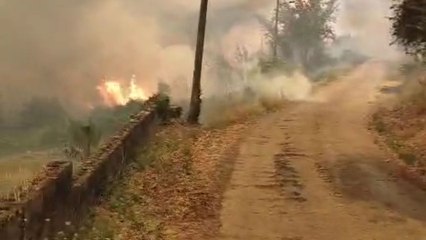 Spain: Smoke engulfs the Valdeorras region as relentless wildfires threaten homes and farmland