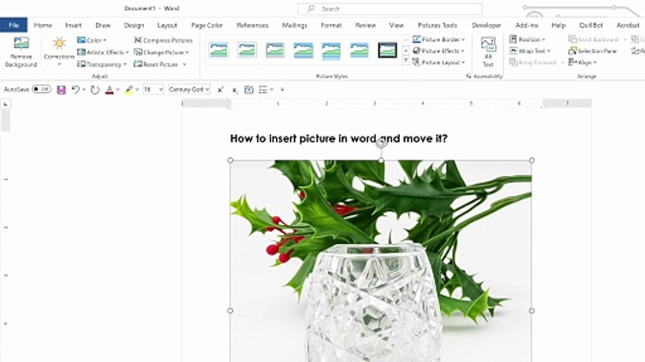 Moving a picture in Microsoft Word Document